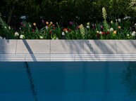 Swimmingpool mit Überlaufrinne an Blumenbeet | © Biegert GmbH, Leingarten