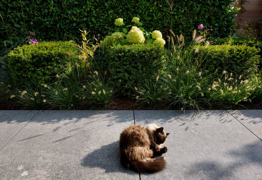 Katze auf Gartenweg | ©  Erich Benz
