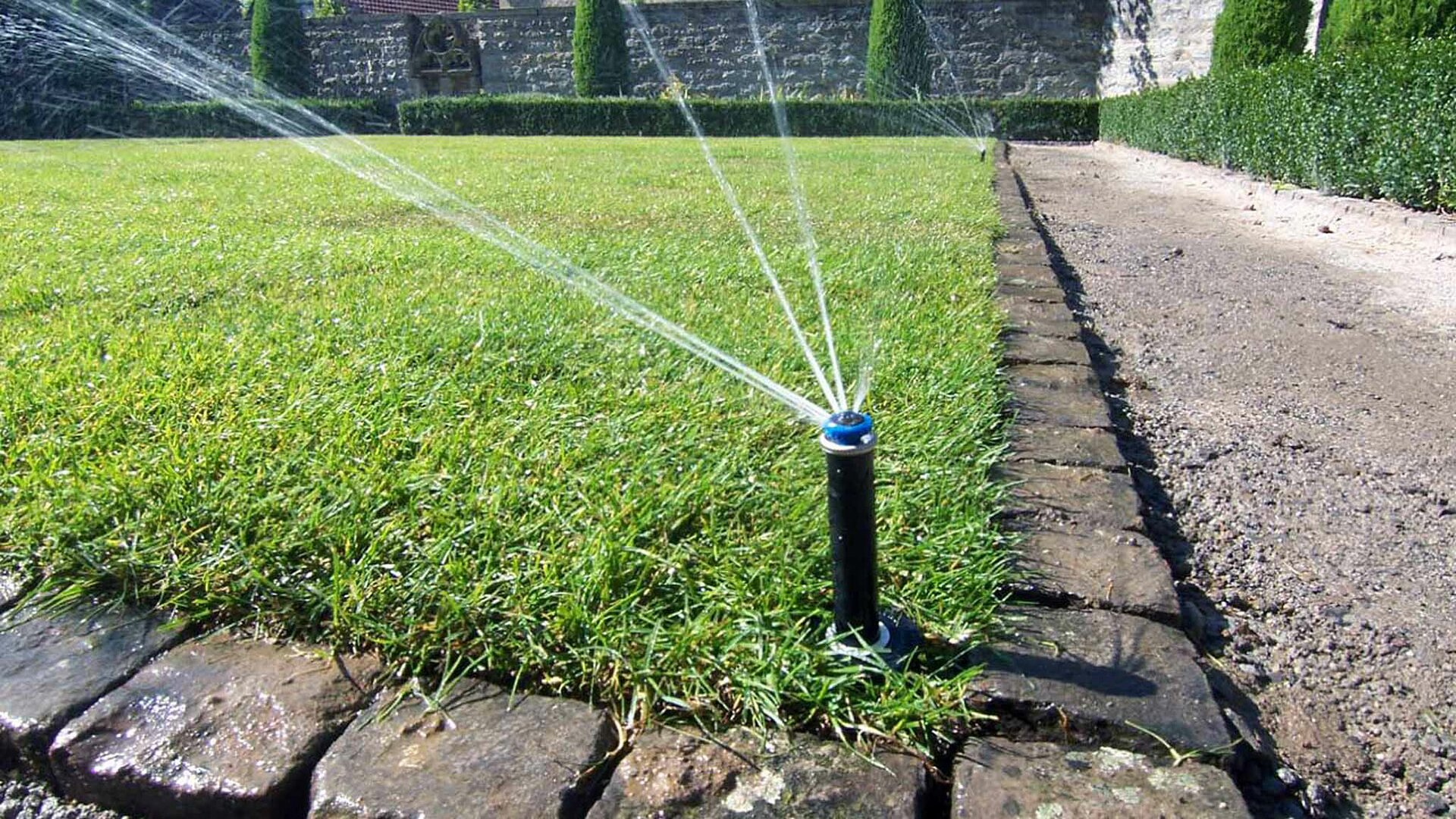 Wiese mit Wassersprinkler | ©  Biegert Garten- und Landschaftsbau GmbH